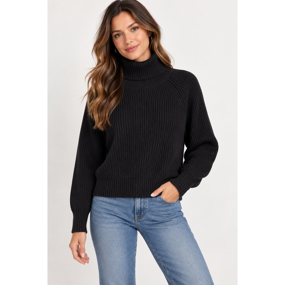 Wilfred Free Merino Wool Sweater Black Knit Cropped Quiet Luxury XXS Minimalist